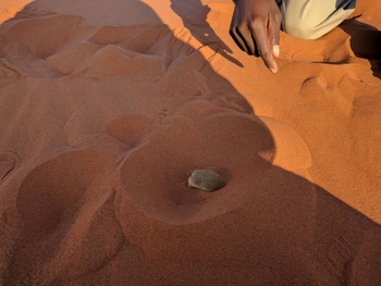 andBeyond Sossusvlei Desert Lodge: Goldmulle