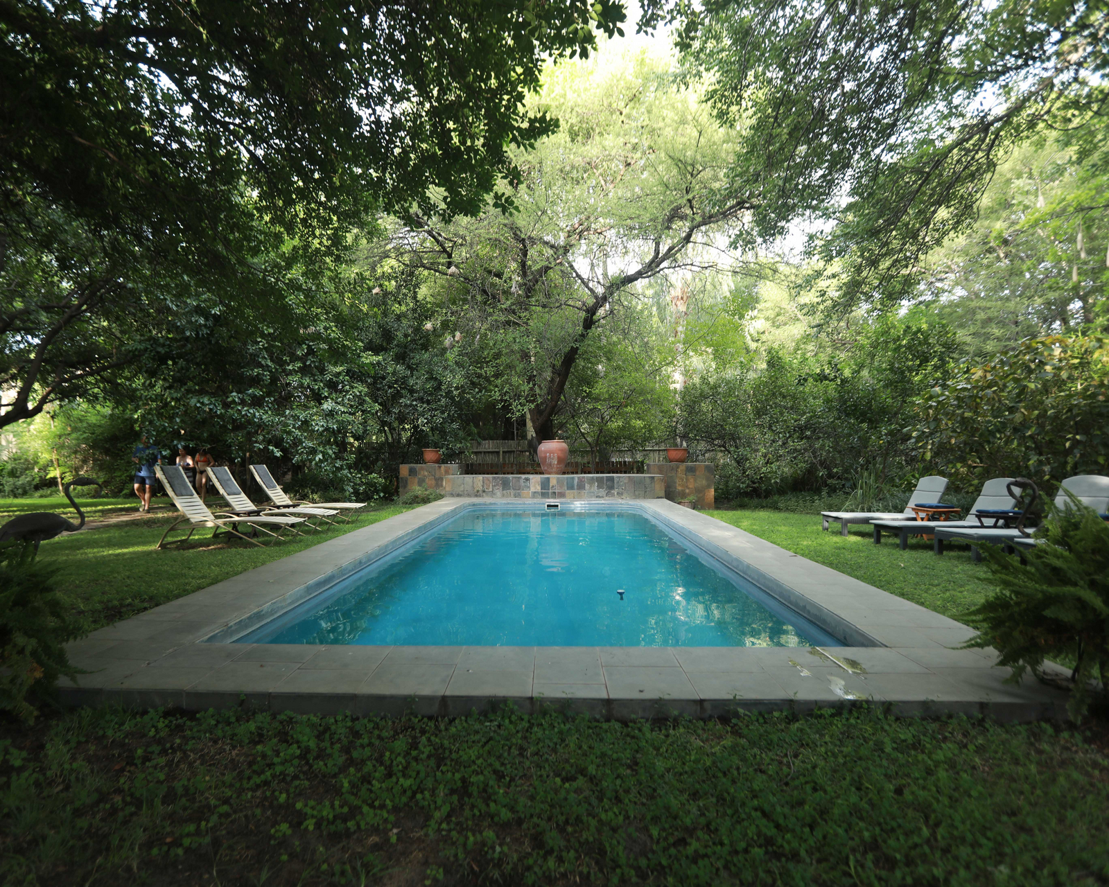 Maun Waterfront Guesthouse Maun Waterfront Guesthouse: Pool im Garten