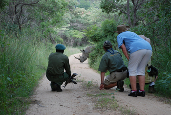 Amalinda Lodge: Rhino Tracking