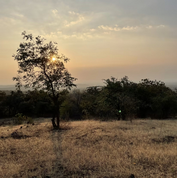 Aramness Aramness: In der Wildnis