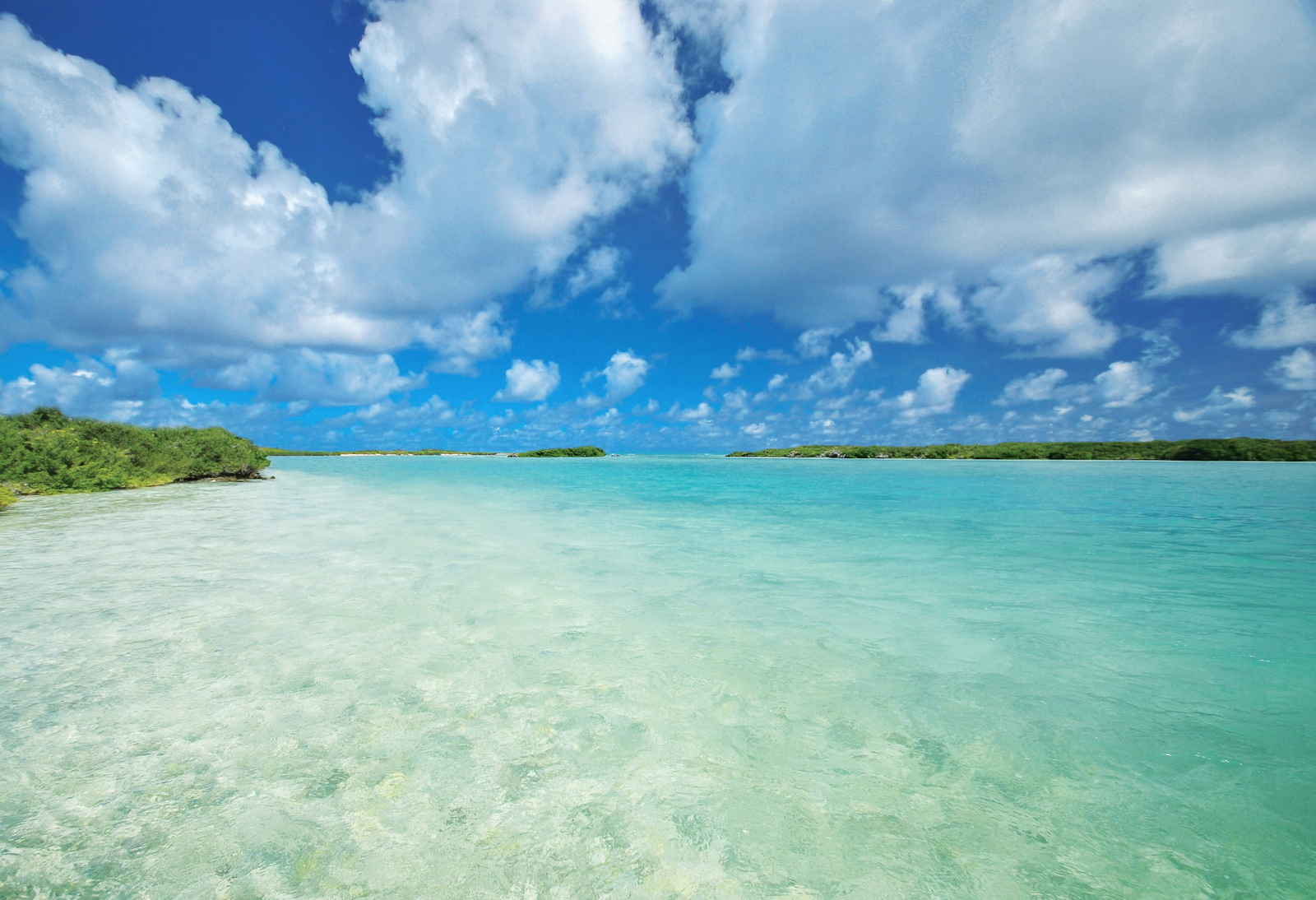 Astove Coral House Astove Coral House: Landschaft