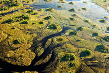 Atzaro Okavango Camp: Sumpflandschaft