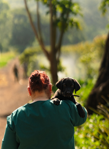 Gibb's Farm: Mitarbeiterin mit Hund