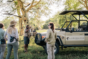 Gorongosa Safaris: Snack beim Game Drive