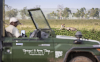 Governors' Il Moran Camp: Ruhender Gepard