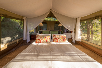 John's Camp John's Camp: Gästezelt - Interieur