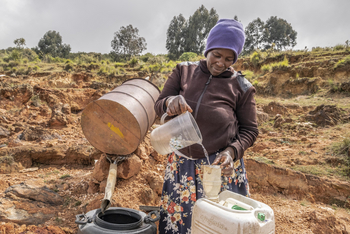 Loldia House: Eburu Forest