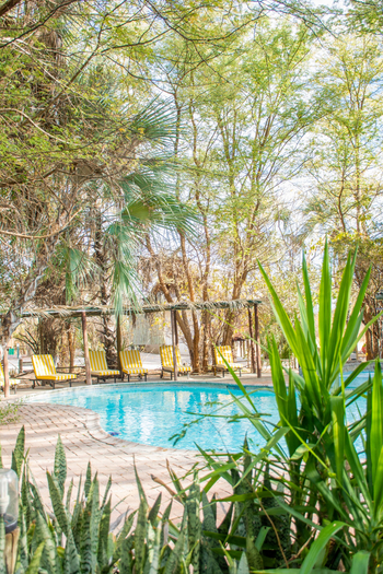 Nata Lodge Nata Lodge: Swimming Pool