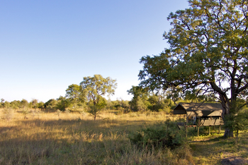 Nkasa Lupala Tented Lodge: Gästezelt im Schatten