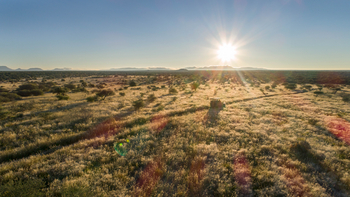 Old Traders Lodge: Aktivitäten