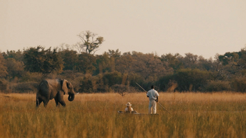 Sanctuary Chief's Camp Sanctuary Chief's Camp: Poler und Elefant