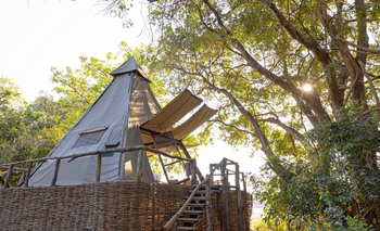 Shawa Luangwa Camp: Zelt mit geöffneter Front