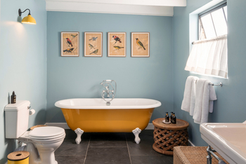 Coot Club: Leeward Large 3