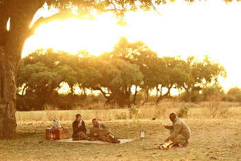 Lion Camp Lion Camp: Kleines Feuer für den Sundowner