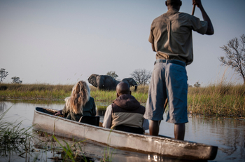Mapula Lodge: Elefantenbegegnung