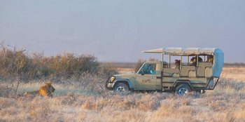 Okaukuejo Camp Okaukuejo Camp: Game Drive