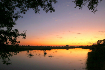 Splash Camp: Spätes Licht