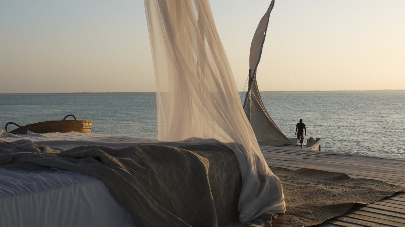 Sussurro Sussurro: Starbed Transferdhow