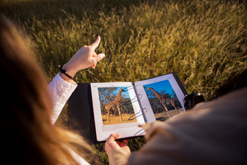 Thamo Telele: Erklärungen