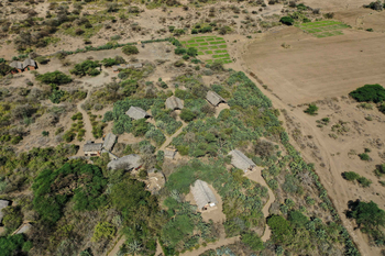 Tindiga Tented Camp: Hütten in natürlicher Buschlandschaft am Vormittag