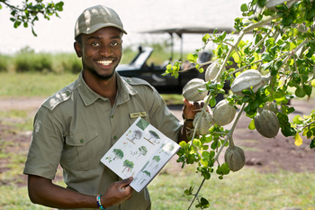 andBeyond Lake Manyara Tree Lodge: Guide bei der Pflanzenbestimmung