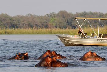 Old Mondoro Camp: Hippo Pod