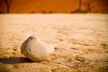 Desert Homestead Lodge Desert Homestead Lodge: Ausflug ins Sossusvlei