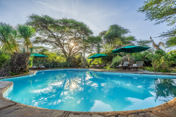 Elewana Tortilis Camp: Pool