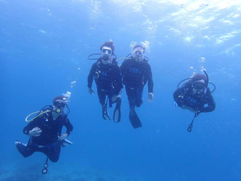 Fundu Lagoon: Tauchen