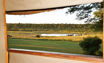 Ivory Safari Lodge Ivory Safari Lodge: Blick zum Wasserloch