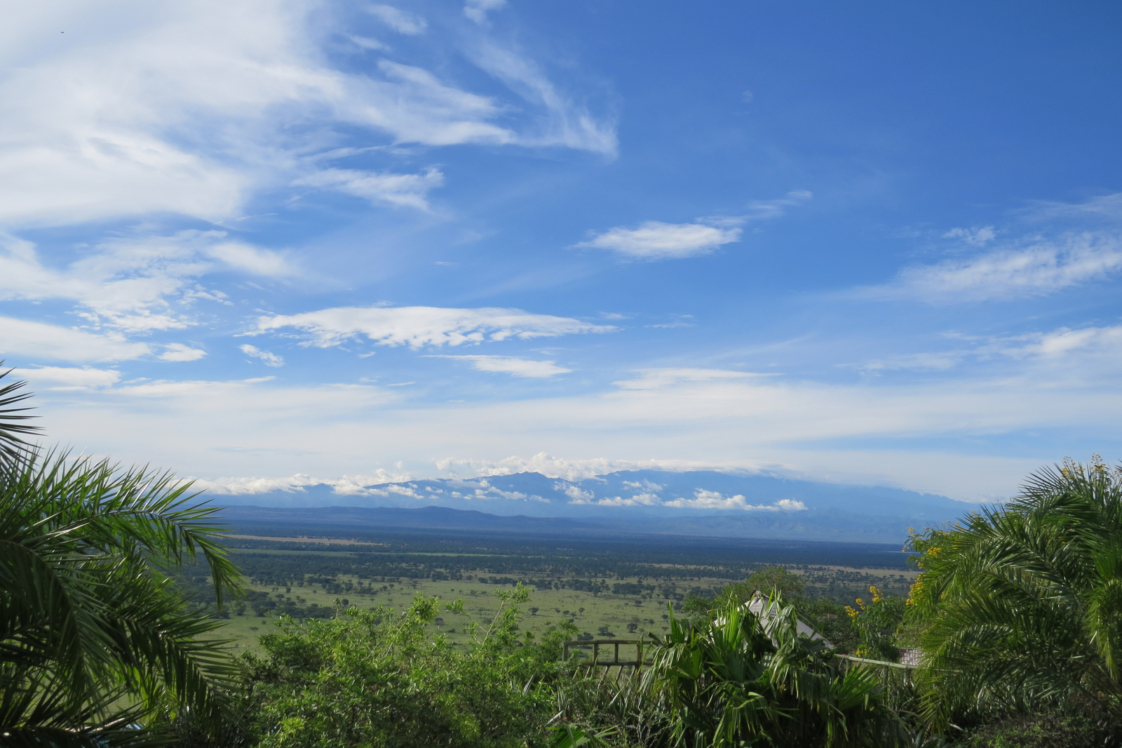 Katara Lodge Katara Lodge: Rwenzori Mountains