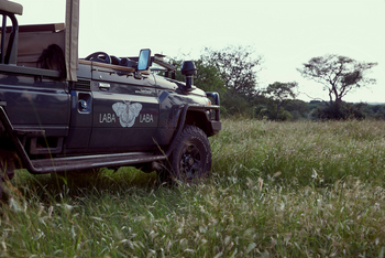 Laba Migration Camp: Safari Auto