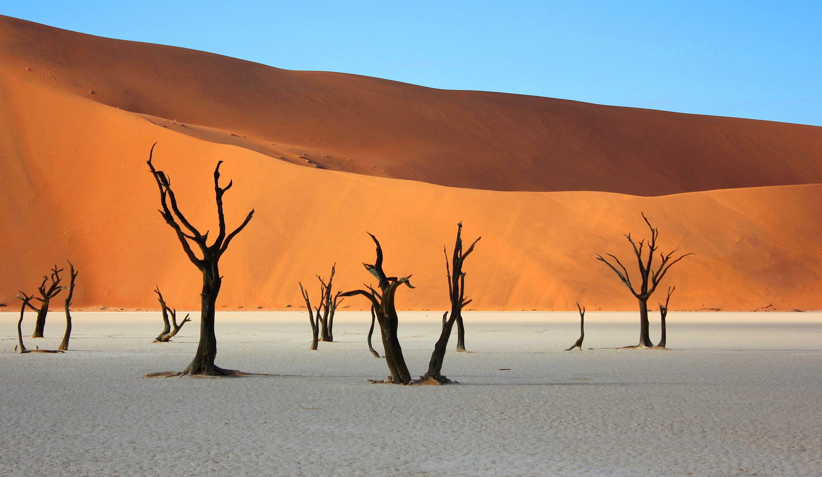 Le Mirage Le Mirage: Dead Vlei