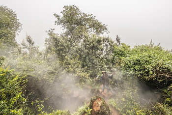 Loldia House: Eburu Forest