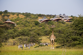 Mahali Mzuri: Giraffe vor dem Camp