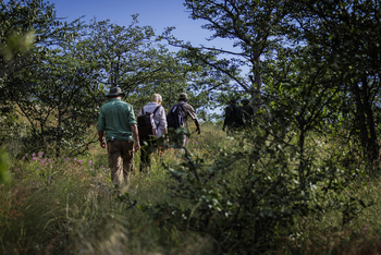 Ohorongo: Rhino Tracking