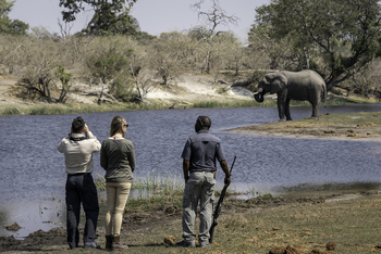 Savuti Camp Savuti Camp: Bewaffneter Guide