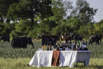 Savuti Camp Savuti Camp: Sundowner Bar