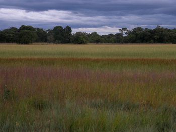 Wasa Lodge: Landschaft