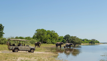 Chobe Game Lodge: Sichtung von Elefanten am Ufer