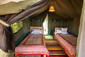 Laikipia Wilderness Camp: Zwei Einzelbetten