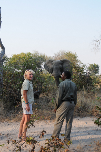 Macatoo Camp: Auge in Auge mit Elefant