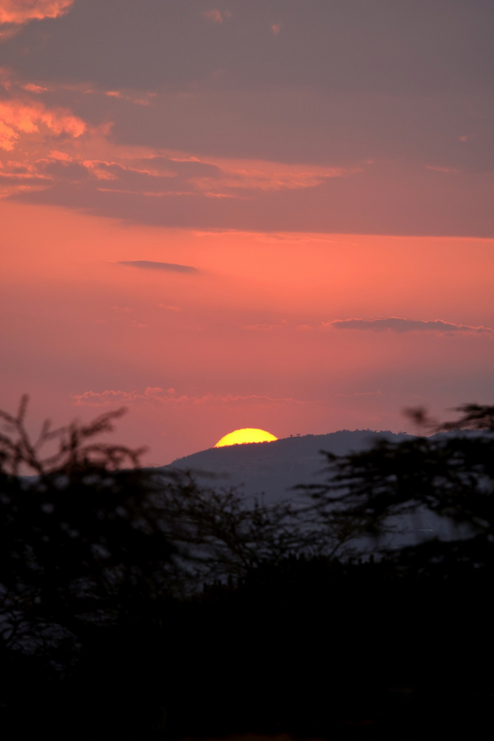 Ngorongoro Oldeani Mountain Lodge Ngorongoro Oldeani Mountain Lodge: Landschaft