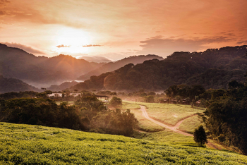One and Only Nyungwe House: Gesamtansicht bei Sonnenaufgang