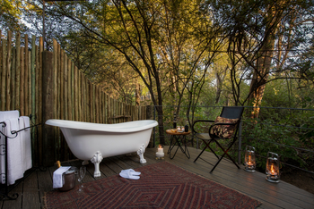 Onguma Forest Camp: Honeymoon Suite