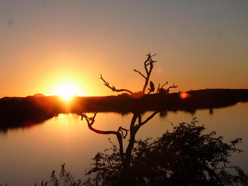 Otjiwa Mountain Lodge: Fish Eagle