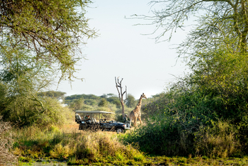 Singita Pamushana Lodge: Game Drive