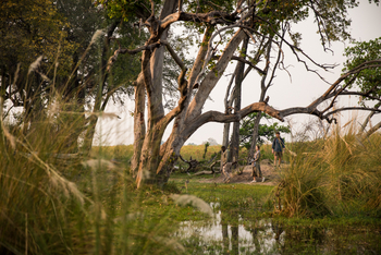 Sitatunga Private Island Camp: Expedition mit Guide