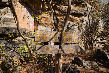 Tsodilo Hills Sleep-out: Felsmalereien