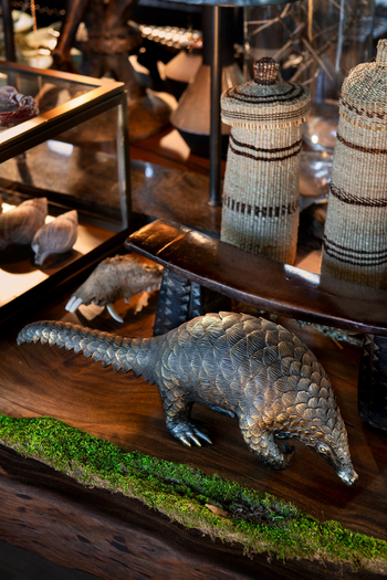 andBeyond Phinda Forest Lodge: Deko in der Library